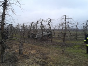 20140220_103455