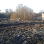 20140310_163026