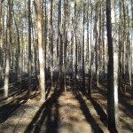20140402_155413