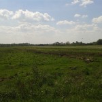 20140501_122613