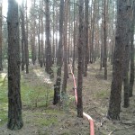 20140620_185233