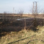 12439183_1227074617304228_8911085752369510805_n