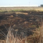 12920433_1227074793970877_220587248274251721_n