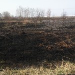 12923212_1227074647304225_5756771035788847765_n