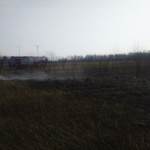 12932556_1227074680637555_6758992786914751966_n