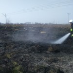 12936493_1227074757304214_7363081341655043032_n