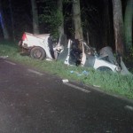 13164242_1248820555129634_5813433829714364331_n