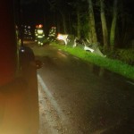 13177778_1248820618462961_3145111051875503177_n